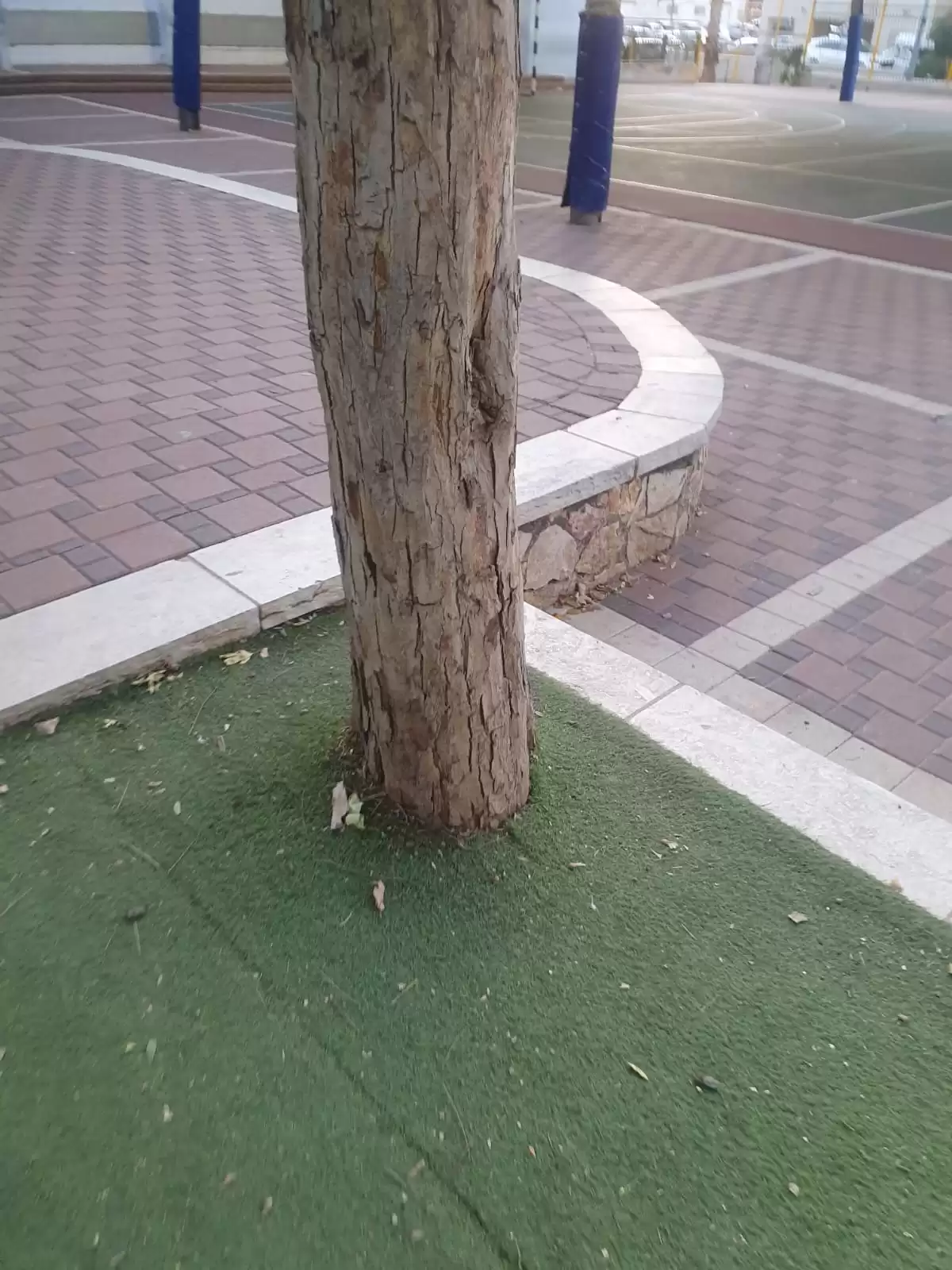 הזמנת עורך מבדקי בטיחות למוסדות חינוך