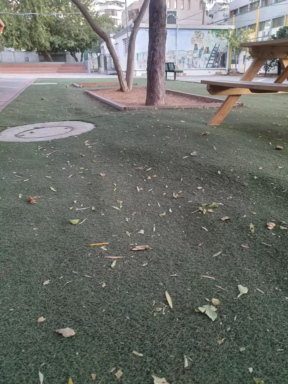 הזמנת עורך מבדקי בטיחות למוסדות חינוך