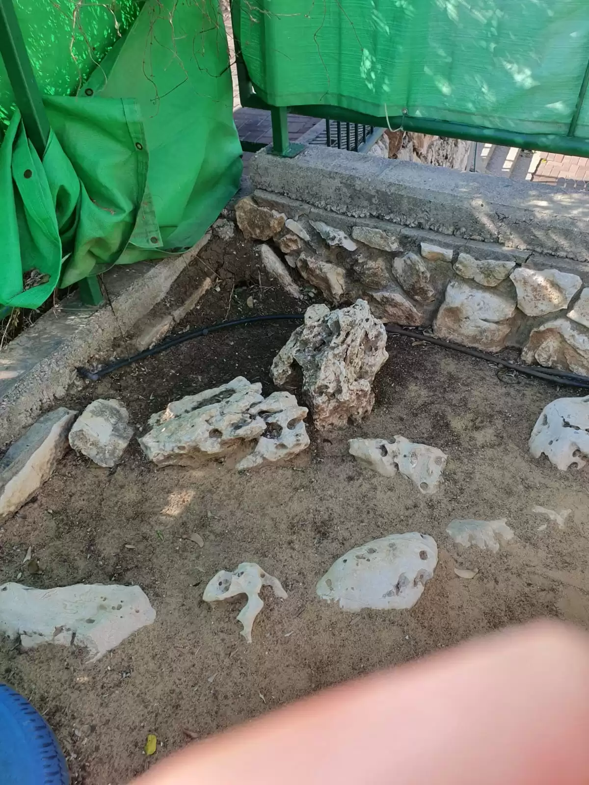 הזמנת עורך מבדקי בטיחות למוסדות חינוך