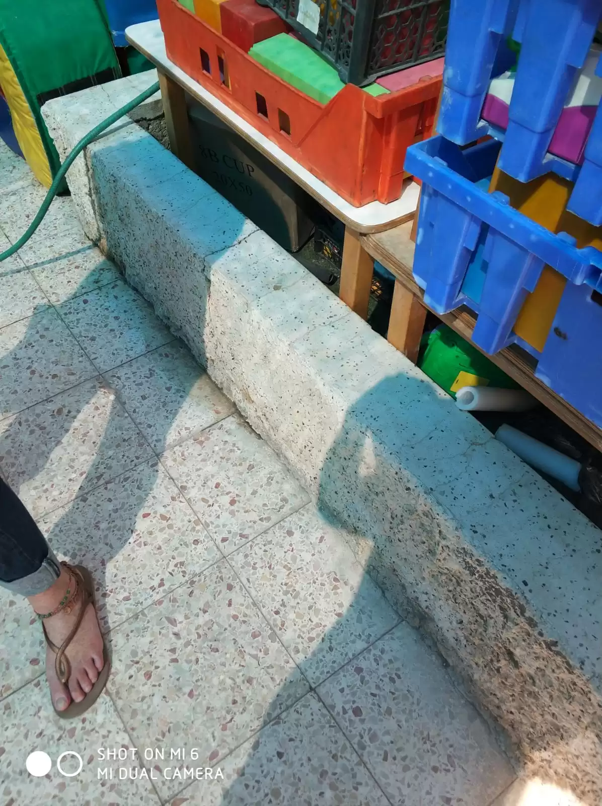 הזמנת עורך מבדקי בטיחות למוסדות חינוך