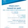 פרחי השמש