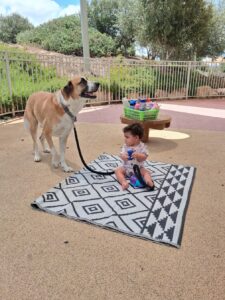 תמונה מתוך הגלריה של פעוטון במבי