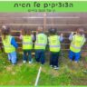 הצוציקים של חגית